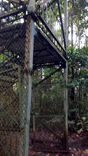 Opinii despre Puerto Providencia în Limoncocha - Gastronomía y hostelería