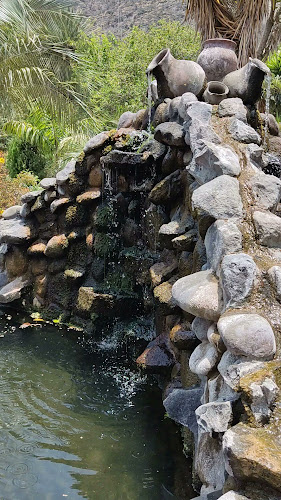 Comentarii opinii despre La Playa del Pisque