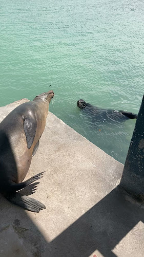 Lemon & Coffee - Puerto Ayora
