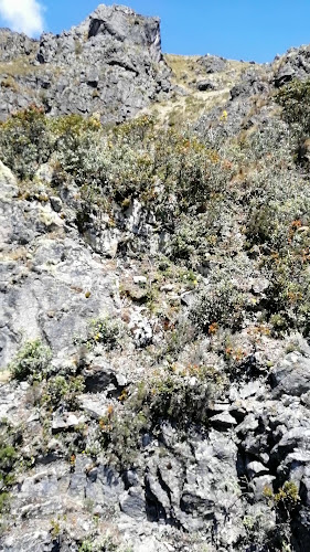 Opinii despre Hosteria Capillapamba în Cuenca - Gastronomía y hostelería