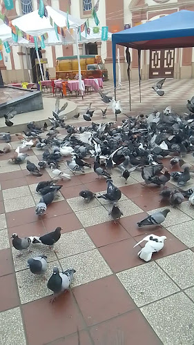 Opinii despre Hosteria Playita Escondida în Yantzaza - Gastronomía y hostelería