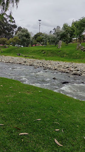 Opinii despre La Dulcesa Panadería & Pastelería în Cuenca - Gastronomía y hostelería
