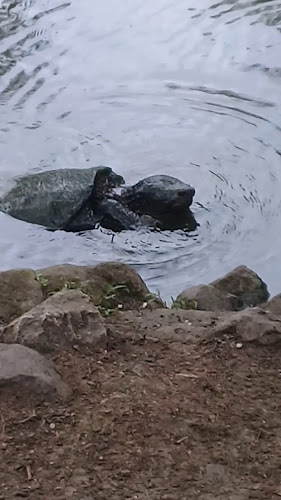 Opinii despre La Super Hamburguesa în Portoviejo - Gastronomía y hostelería