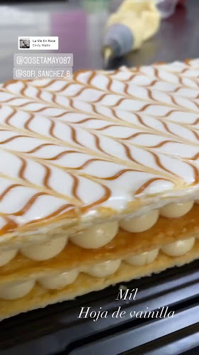 Vasco de Contreras, y, Quito 170510