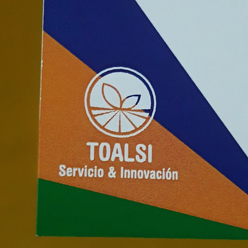 Comentarii opinii despre TOALSI