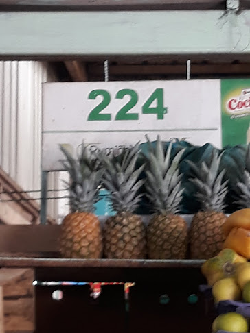 Sra María Angela Vega Cayo