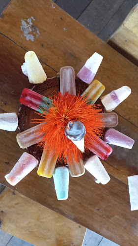 Comentarii opinii despre Manioc