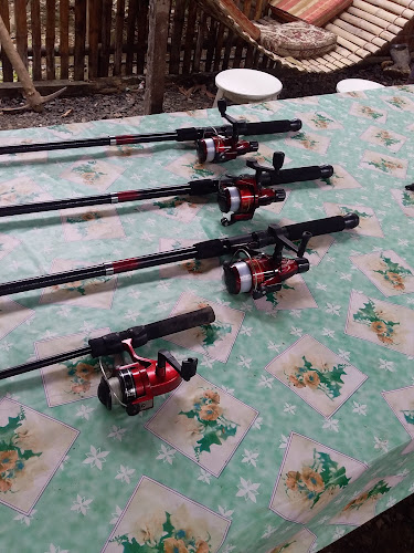 Comentarii opinii despre Quinta Mamitana