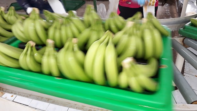 Hacienda La Piedad - El Porton