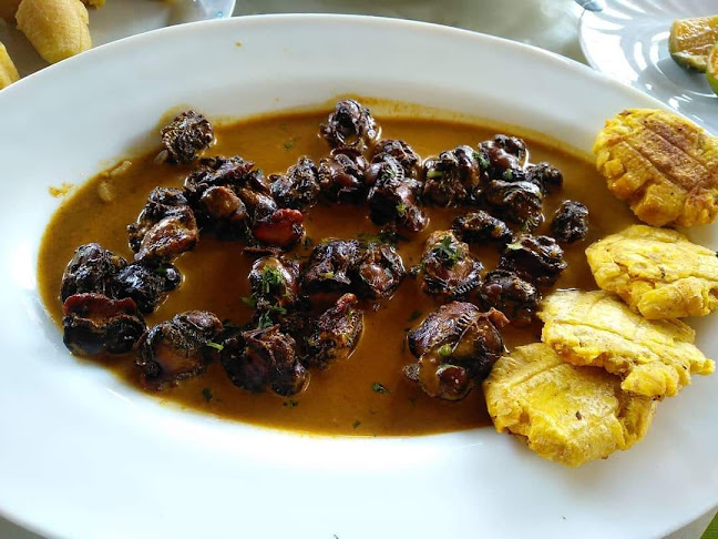 Viche, Esmeraldas - Gastronomía y hostelería