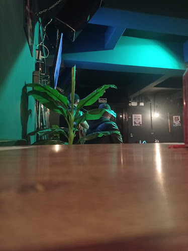 El Gato Gastrobar - Colimes