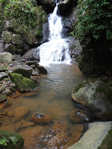 Opinii despre Babahoyo în Babahoyo - Gastronomía y hostelería