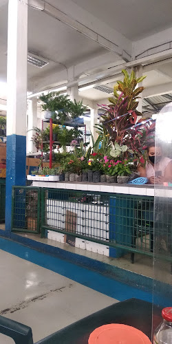 Mercado Este - Gastronomía y hostelería