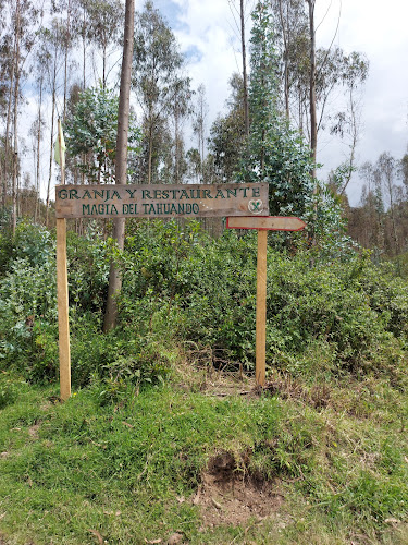 Comentarii opinii despre Granja y Restaurante Magia del Tahuando