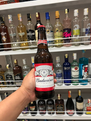 Comentarii opinii despre Licoreria El Gato