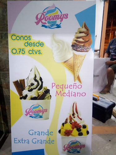 Roomys Ice Cream