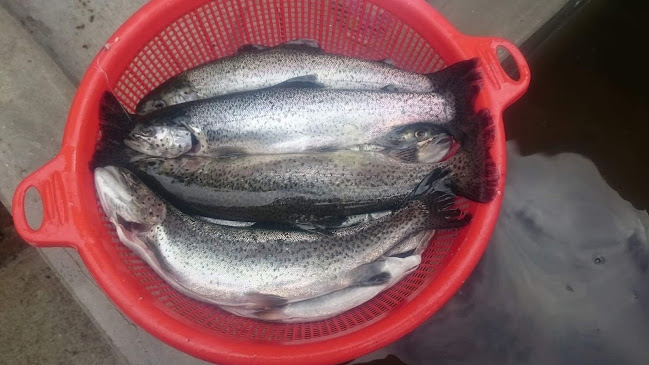 Comentarii opinii despre TRUCHAS LA VALENTINA