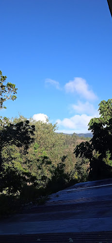 San Antonio de Trabana - Gastronomía y hostelería