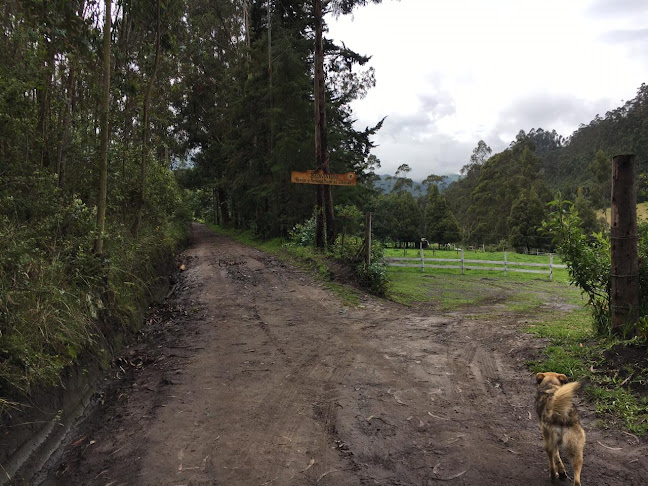 Comentarii opinii despre Granja y Restaurante Magia del Tahuando