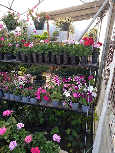 Vía a Nayón S/N, Quito 170530