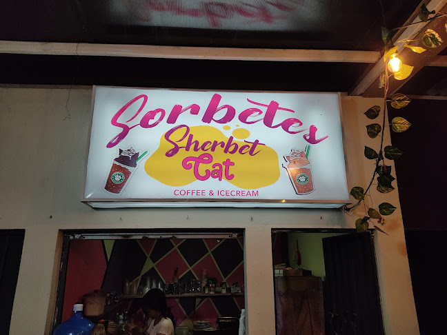 Sorbetes Sherbet Cat - Naranjito