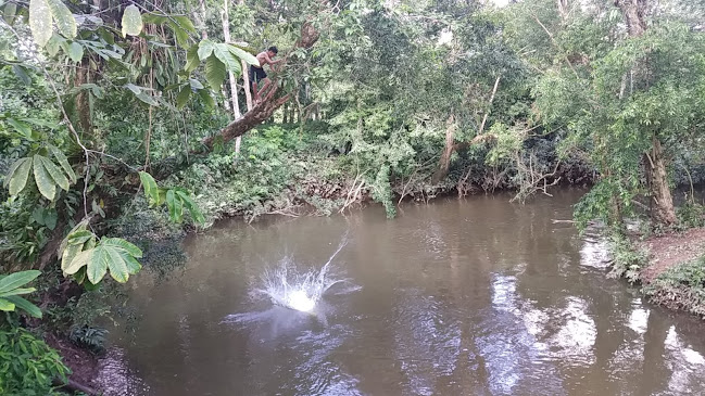 Opinii despre Dureno în Nueva Loja - Gastronomía y hostelería
