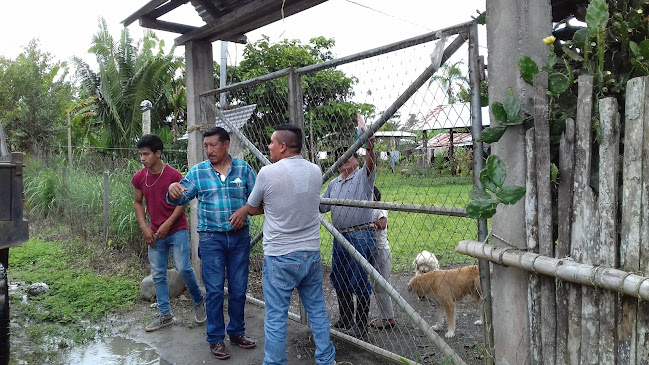 Pollos al paso Don Mario - Macas