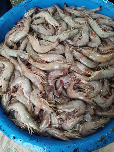 Pescadería la caraguay