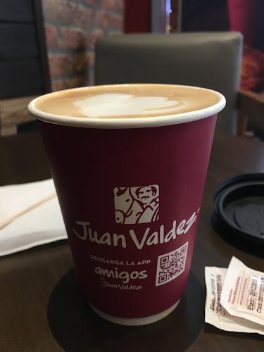 Pío Baroja Nessi, Ambato