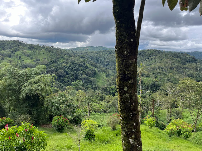 Restaurante Paradero Doña Susi - Gastronomía y hostelería