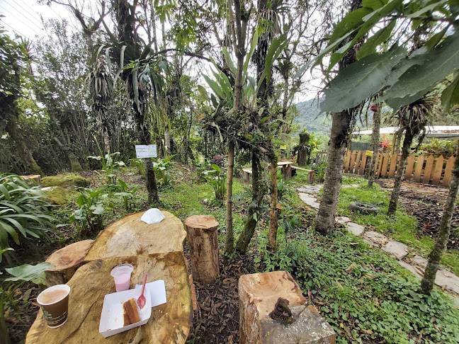 El Alisar, Cafeteria - Papallacta