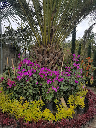 Opinii despre El Café de Las Flores în Quito - Gastronomía y hostelería