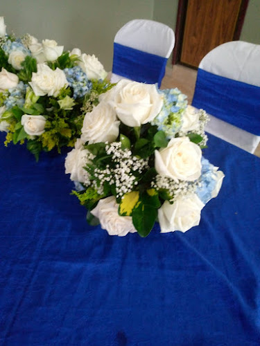 Decoraciones de Genesis - Daule