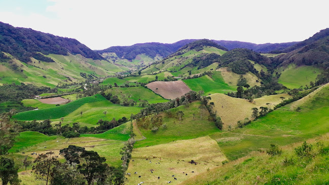 Garcia Moreno, Guayaquil 090514, Ecuador