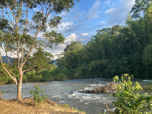 Seipa cabañas panki