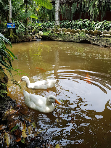 El Jardín Restaurante - Misahuallí - Ahuano