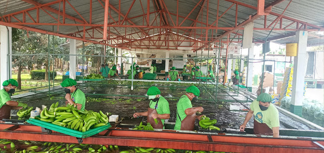 Opinii despre Hcda "Jujanillo " în Isla de Bejucal - Gastronomía y hostelería