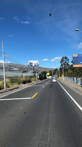 Waylla Kury Aguacate Organico - Ibarra