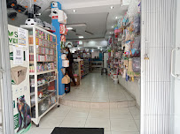 PASTILLAJE LA UNION - Gastronomía y hostelería