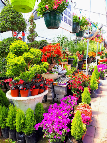 El Café de Las Flores