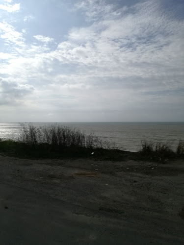 Restaurant Las Madrinas - Gastronomía y hostelería