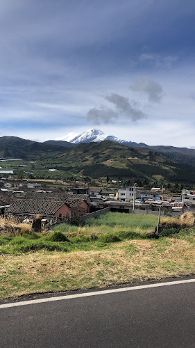 Waylla Kury Aguacate Organico