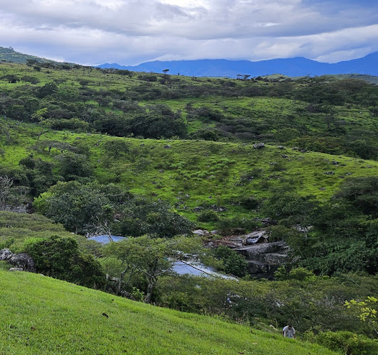 RIO YUNGUILLA, Gonzanamá