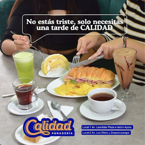 Av. Los Shyris, Ambato 180201