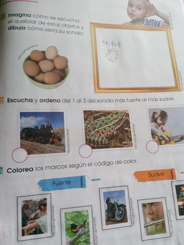 Panaderia Principal - Pedro Vicente Maldonado