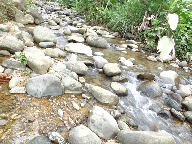 Comentarii opinii despre Babahoyo