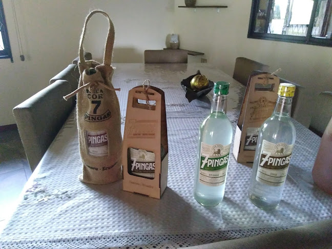 Comentarii opinii despre Licor 7 Pingas