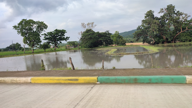 Restaurante Toyita - Gastronomía y hostelería
