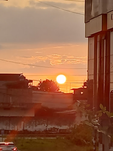 veri mango michelados