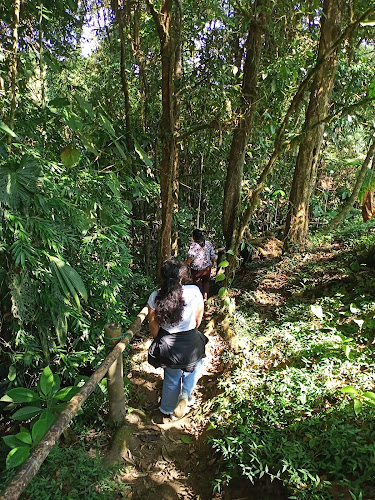 Opinii despre SALOYA FROGS (hospedaje) în San Miguel de Los Bancos - Gastronomía y hostelería